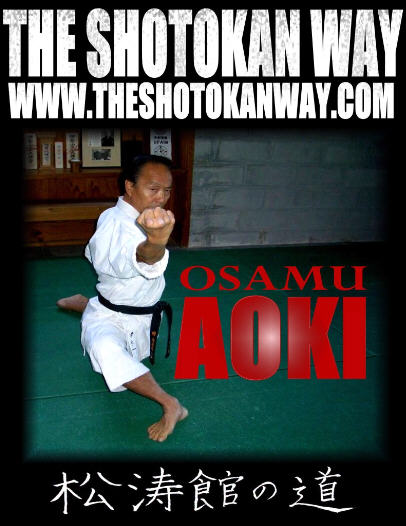 Aoki%20Poster%20frontpage